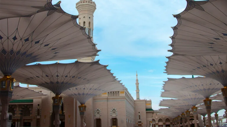 Cardiovascular Medicine